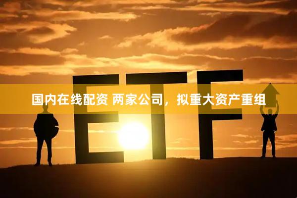 国内在线配资 两家公司，拟重大资产重组
