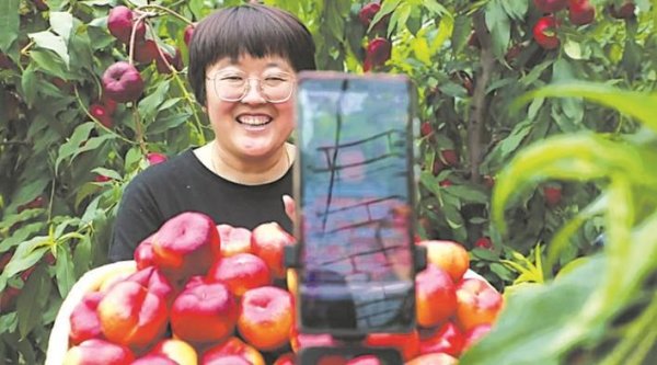 杠杆炒股 饶阳特色农产品爆火直播间