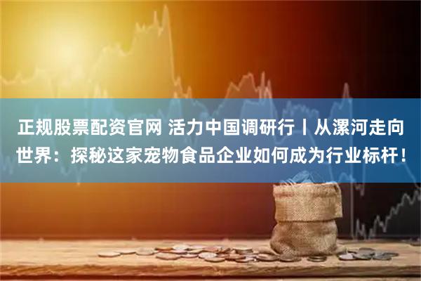 正规股票配资官网 活力中国调研行丨从漯河走向世界：探秘这家宠物食品企业如何成为行业标杆！