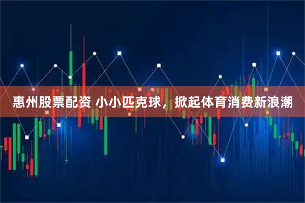 惠州股票配资 小小匹克球,掀起体育消费新浪潮